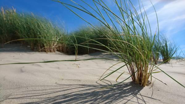 Abc Blankenberge